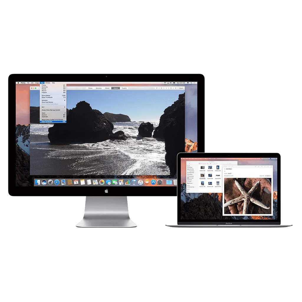 multimedia